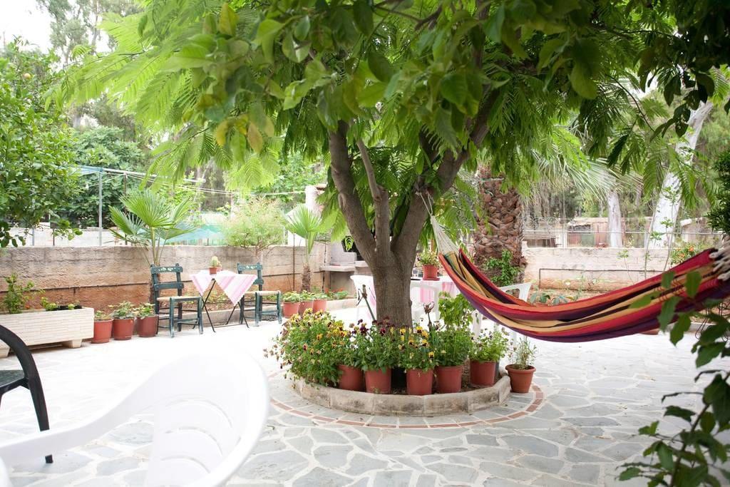 Veggie Garden Athens B&B Екстериор снимка