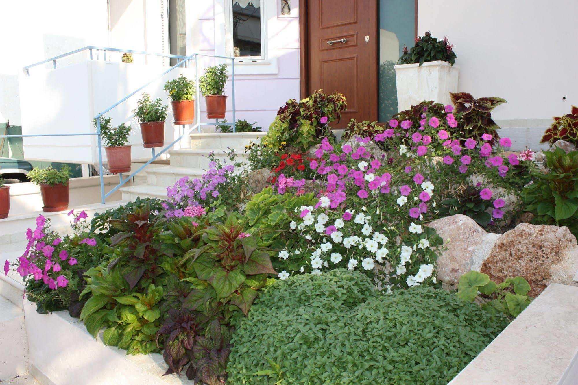 Veggie Garden Athens B&B Екстериор снимка