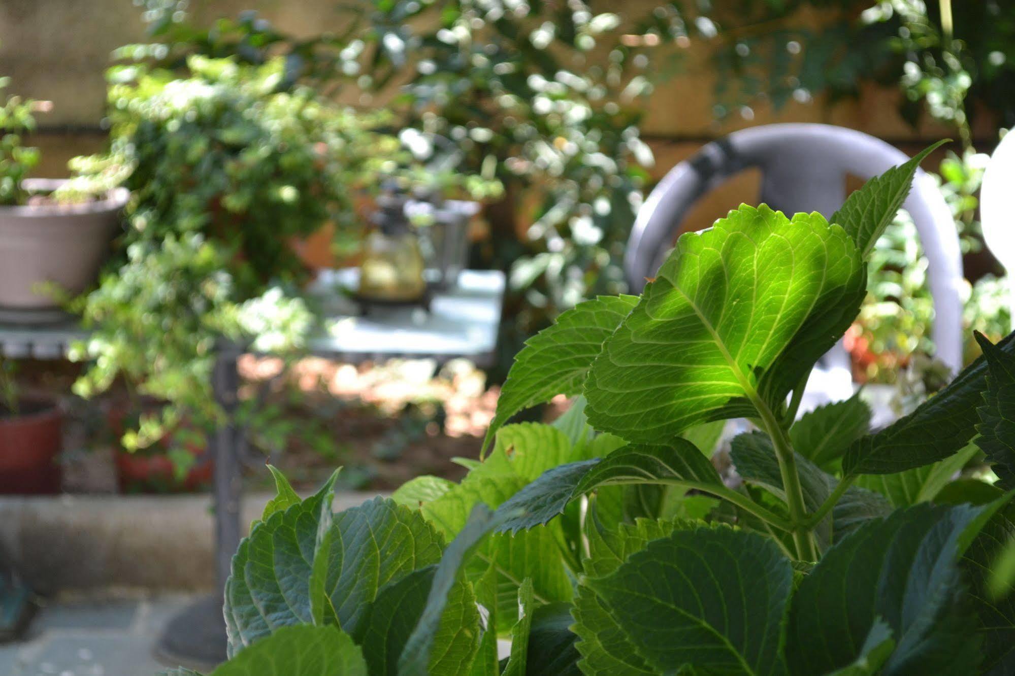 Veggie Garden Athens B&B Екстериор снимка