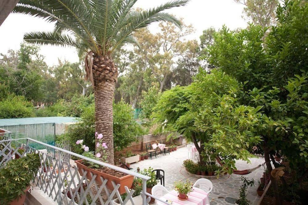 Veggie Garden Athens B&B Екстериор снимка
